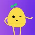 Potato加速器app