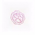 白菜加速器app